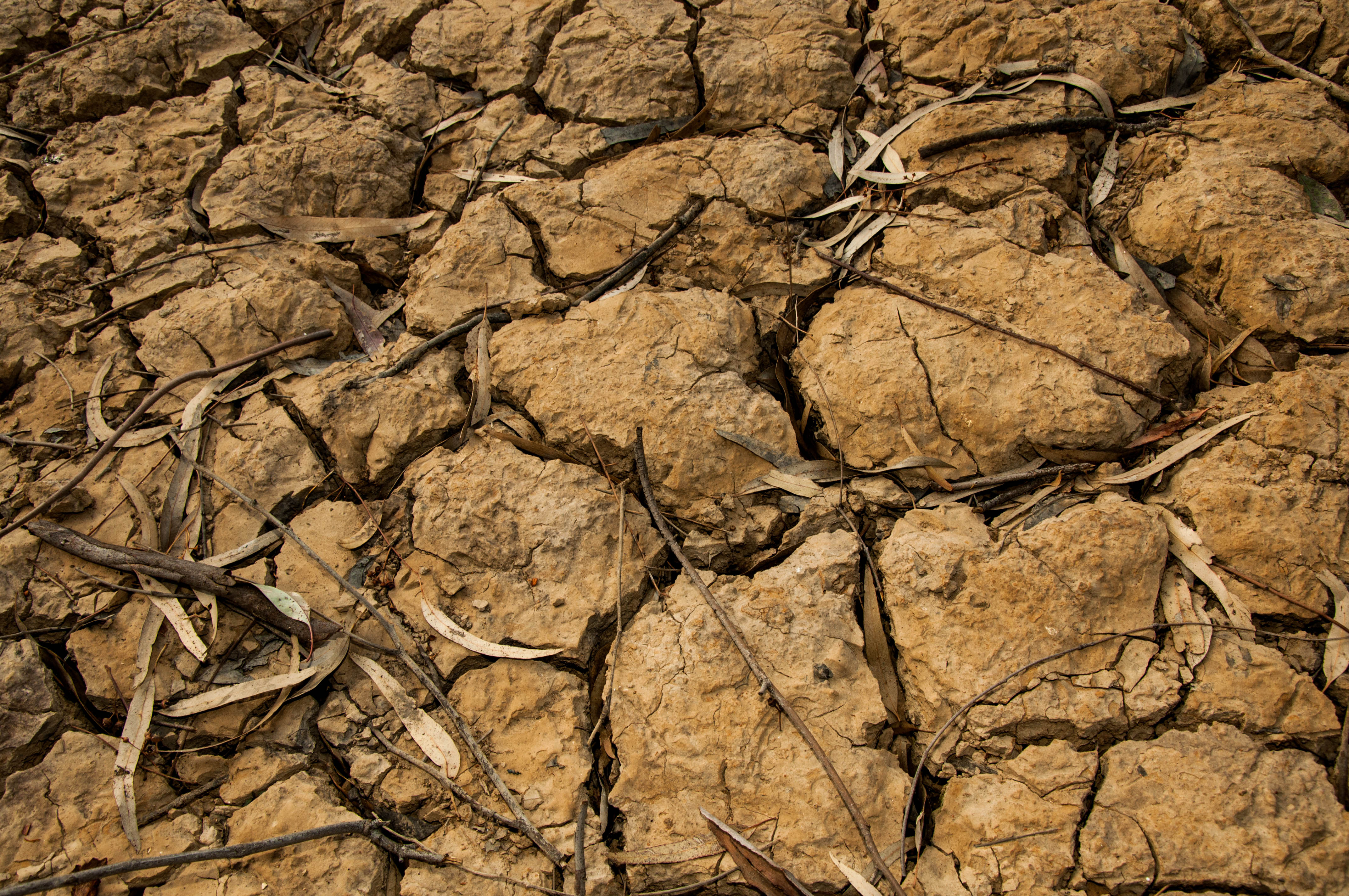 Government announces drought assistance package