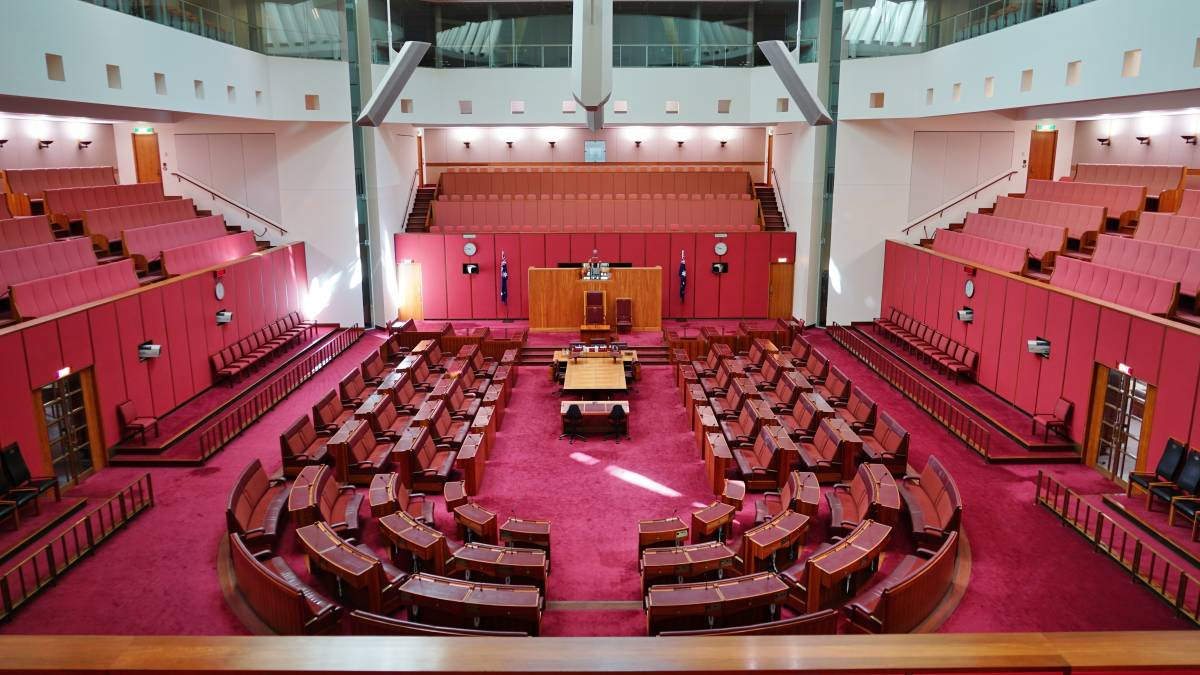 Inside Parliament: Key Moments from the Sitting Fortnight
