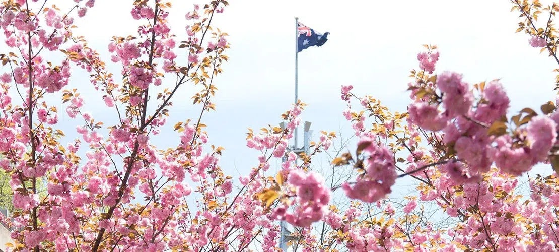 Flag Flowers