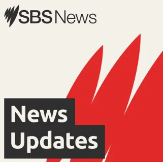 SBS News Updates